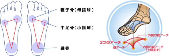 外反母趾 足裏の痛み 症状別治療 千葉で交通事故 むちうち 頭痛 腰痛 肩こり治療の症状別治療は千葉で国家資格を持つプロ集団の伊集院整骨院へ 伊集院整骨院 外反母趾 足裏の痛み 症状別治療 千葉で交通事故 むちうち 頭痛 腰痛 肩こり治療の症状別治療は千葉で国家資格を持つプロ集団の伊集院整骨院へ 伊集院整骨院